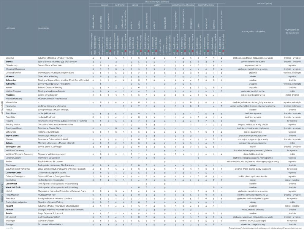 Zestawienie cech charakterystycznych podstawowych odmian winorośli i warunków ich uprawy.