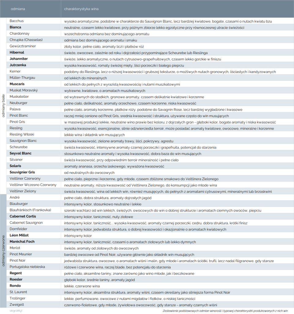 Zestawienie podstawowych odmian winorośli i charakterystyki produkowanych z nich win.